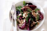 Australian Chargrilled Chicken And Roasted Beetroot Salad Recipe Dinner