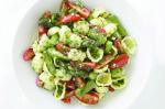 Australian Pasta Asparagus and Marinated Tomato Salad Recipe Appetizer