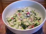 American Rock radishonioncucumberkohlrabi Salad Appetizer