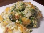 American Broccoli Casserole 101 Appetizer