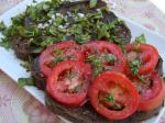 Italian Tomato Sandwich from Italy Appetizer