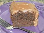 American Extra Moist Chocolate Fudge Snack Cake Dessert