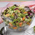 American Springtime Tossed Salad Appetizer