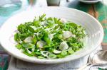 American Sugar Snap Pea Salad With Shaved Onion Radish Basil And Mint Recipe Appetizer