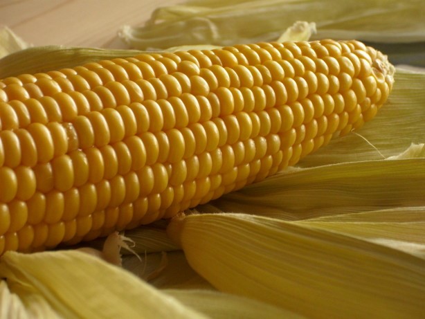 Australian Oven Roasted Corn on the Cob BBQ Grill