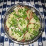 German German-style Potato Salad with Herbs Appetizer