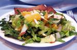 American Tossed Romaine and Orange Salad Appetizer