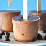 American Double Chocolate Frozen Fudge Pops Recipe Dessert