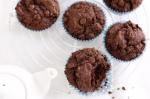 American Basic Chocolate Muffins Recipe Dessert