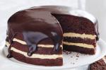 American Rich Peanut Butter And Chocolate Cake Recipe Dessert