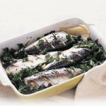 American Braised Mackerel with Garlic and Rosemary Appetizer