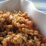 American Spelt in Dried Tomatoes and Rosemary Appetizer