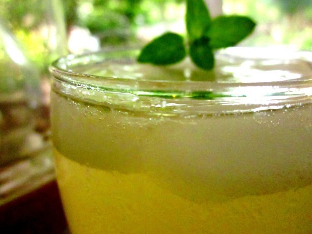 Australian Copycat Green Tea Lemon Drink Drink