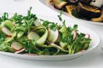 American Cucumber And Radish Salad With Brown Sugar Dressing Recipe Appetizer