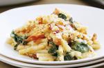 Canadian Bacon And Spinach Macaroni Cheese Recipe Appetizer