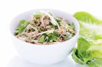 Thai Thai Pork Larb Recipe Appetizer