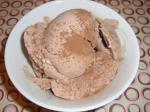 Australian Chocolate Almond Frozen Yogurt Dessert
