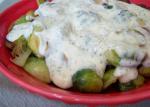 American Brussels Sprouts in Creamy Mustard Sauce Appetizer
