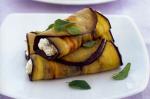Australian Eggplant And Ricotta Rolls Recipe 1 Appetizer