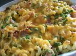 Australian Special Mac and Cheese for a Crowd Appetizer
