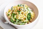 Australian Asparagus Broccoli And Cheese Pasta Recipe Appetizer