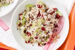 Australian Wild Rice Cranberry And Walnut Salad Recipe Appetizer