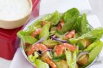 Australian Prawn Salad With Herb Dressing Recipe Appetizer