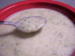 American Creamy Broccoli Cauliflower Soup With Blue Cheese Appetizer