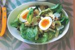 Mexican Caesar Salad Recipe 29 Appetizer