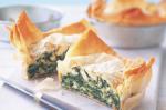 Mexican Cheese And Spinach Pies Recipe Dinner