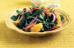 Mexican Watercress and Orange Salad Recipe 1 Appetizer