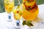 American Peach And Lemon Iced Tea Recipe Drink