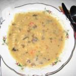 British Soup with Mushrooms Carrots and Potatoes Appetizer