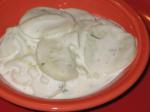 American Cucumber and Onion in Sour Cream 1 Appetizer