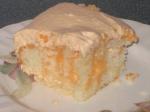 Canadian Dreamsicle Lovers Cake Dessert