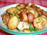 American Roasted Garlicherb New Potatoes Appetizer