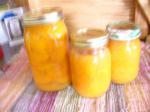 Canadian Canned Apricots With Orange Pineapple Syrup Dessert
