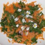 American Carrots Dandelion Salad with Daisy Dessert