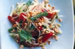 Thai Green Papaya Salad Recipe 4 Appetizer