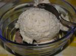 Croatian Nitkos Simple Vanilla Icecream without Machine Dessert