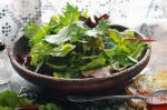 Spanish Green Salad With Gazpacho Dressing Recipe Appetizer