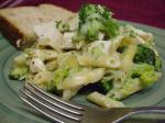 American Penne With Chicken  Broccoli Casserole Appetizer