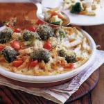 American Pasta Au Gratin with Broccoli and Chicken Appetizer