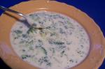 American Broccoli Cheese Soup 38 Appetizer
