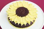 Sunflower Chocolate Cake Recipe recipe