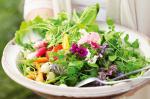 Garden Salad With Vinaigrette Recipe recipe