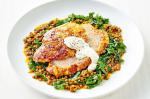 French Lamb With Braised Lentils And Mustard Sour Cream Recipe Appetizer
