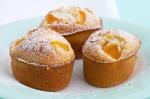 French Peach Friands Recipe Dessert