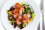 Roast Duck Breast With Orange Cranberry And Walnut Salad Recipe recipe
