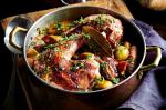 French Slowcooked Coq Au Vin Recipe Appetizer